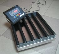Рольганг весы